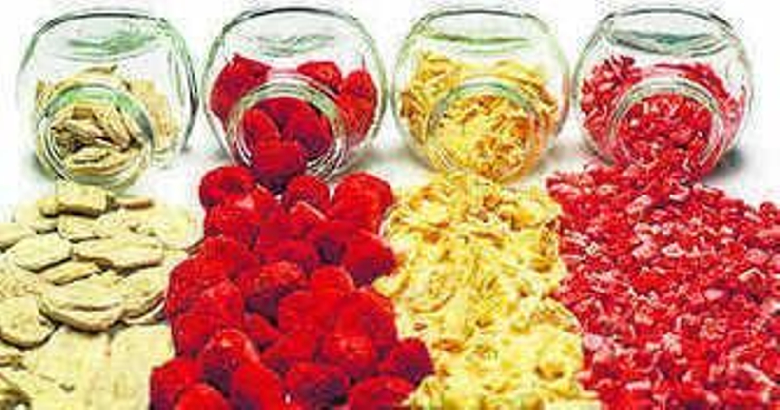 Investigadores del Laboratorio de Biología Marina (LBM) de la Universidad de Sevilla.