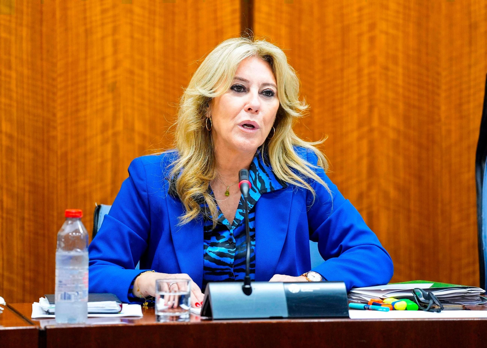 La consejera de Economía y Hacienda, Carolina España, comparece en la comisión parlamentaria.