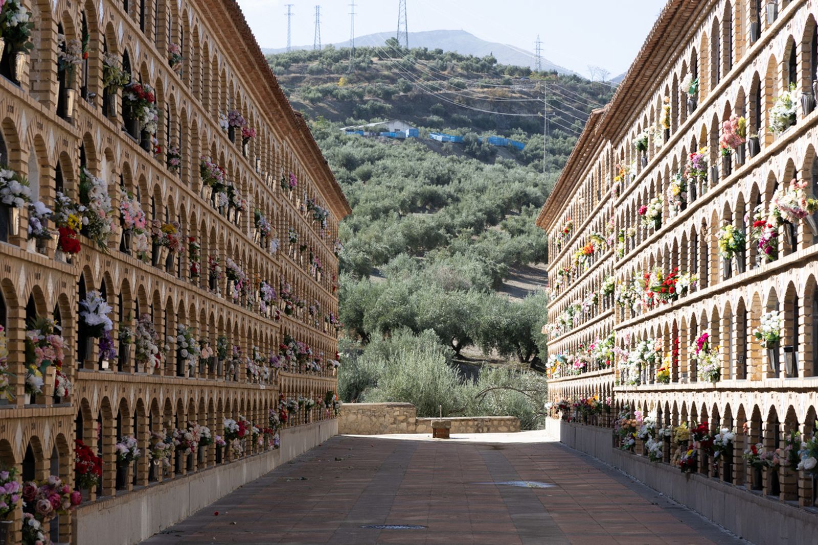 Día de Los Santos en el cementerio de San Fernando y San Eufrasio de Jaén, en imágenes