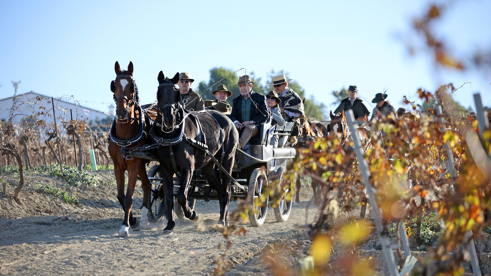 II Ruta Viñas de Jerez