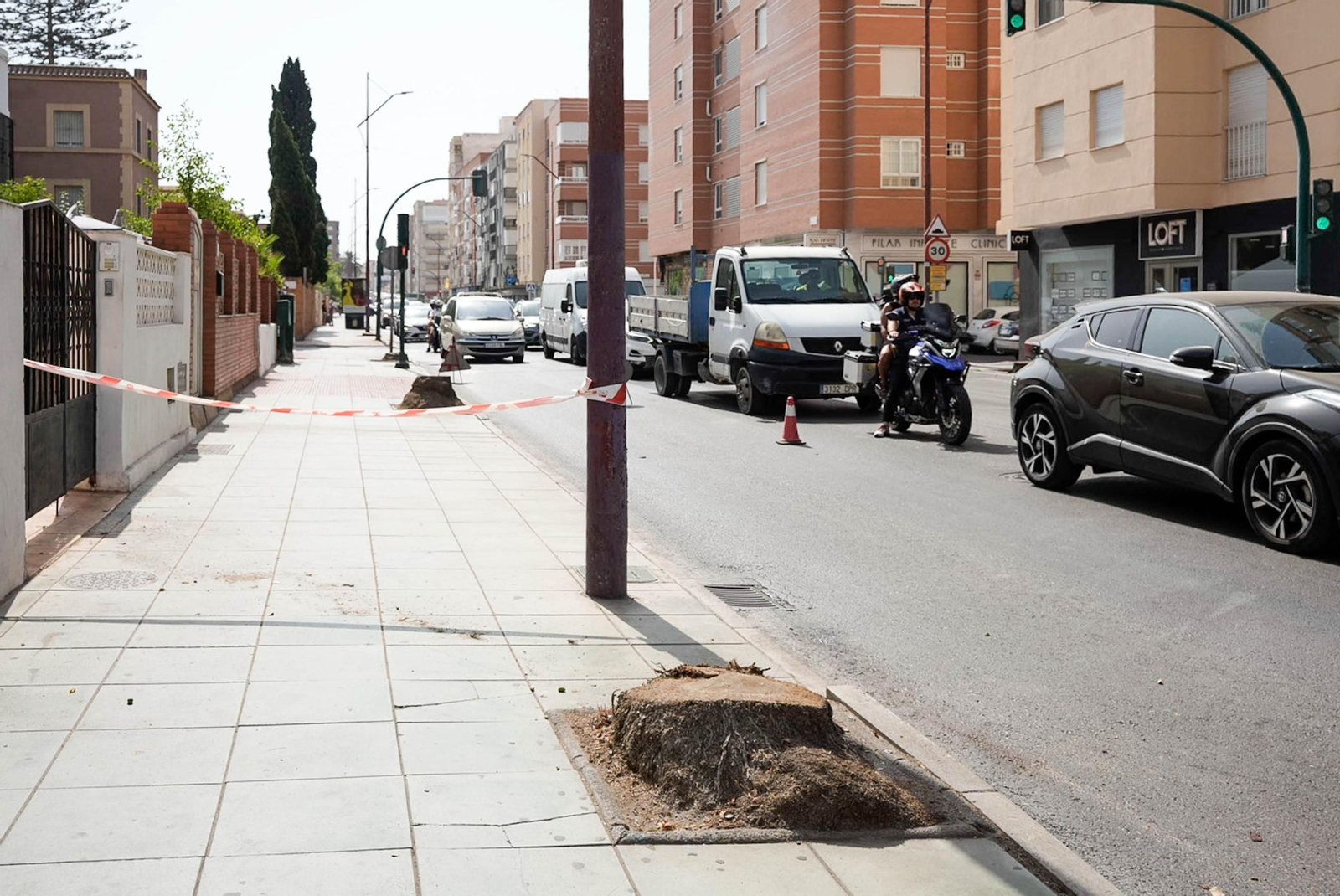 Completan la tala de palmeras de la avenida Cabo de Gata