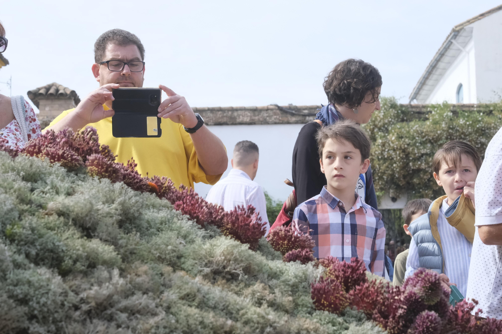Un recorrido por los patios del Festival Flora 2022 de Córdoba, en imágenes