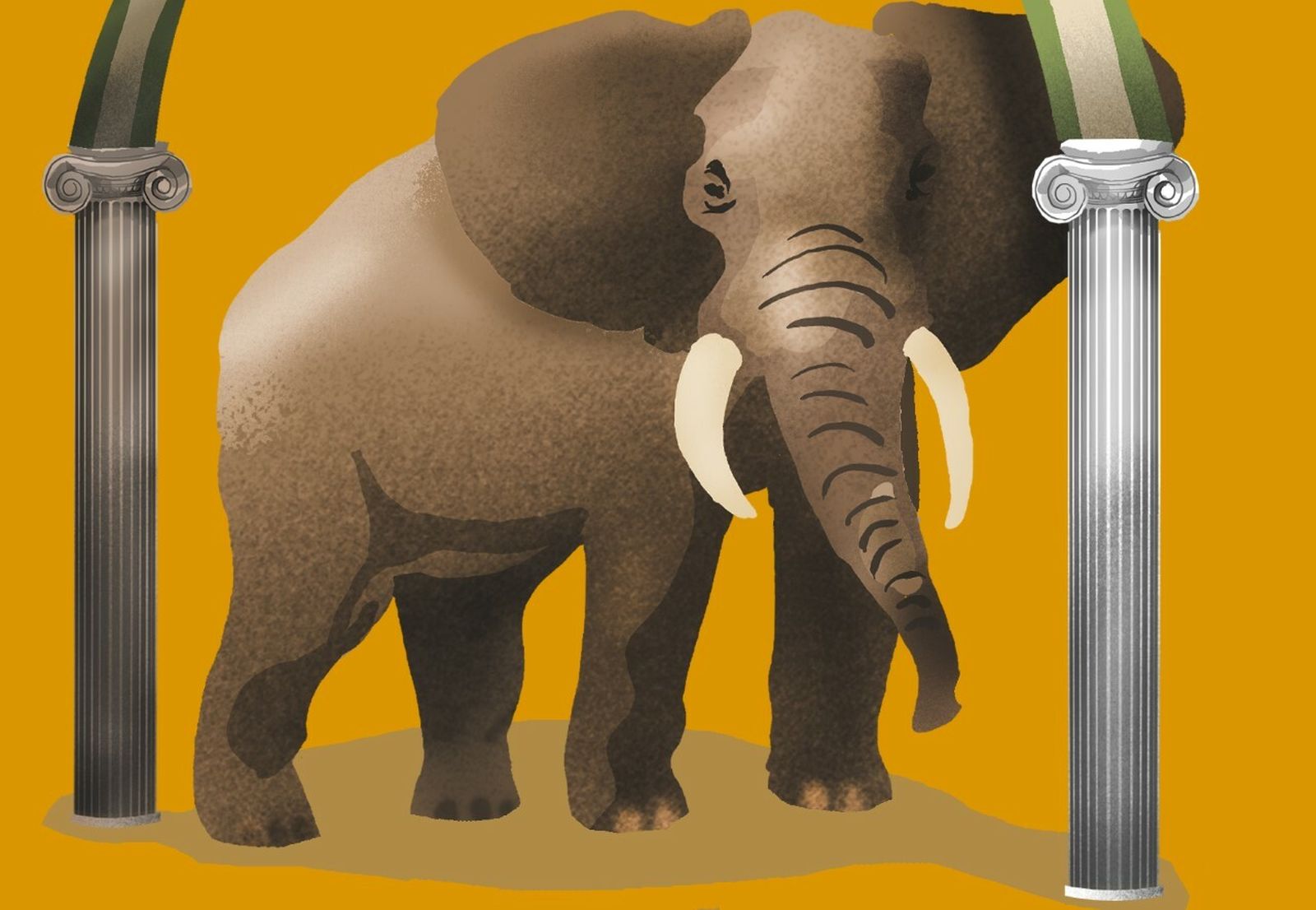 La pobreza, un elefante en la habitación.