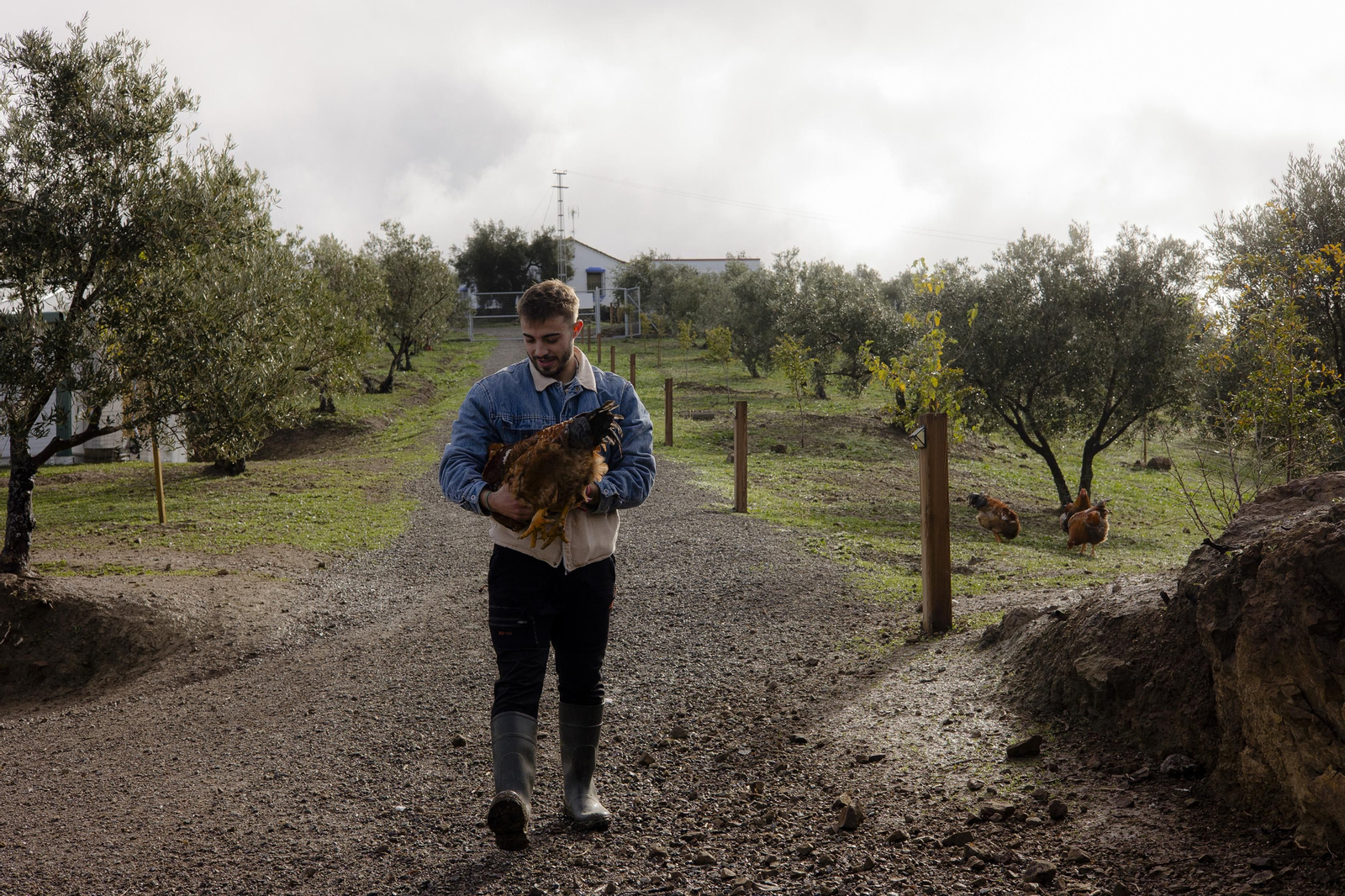 Imágenes de la finca "Loma Verde"; dedicada a la cría de capones y pulardas en libertad.