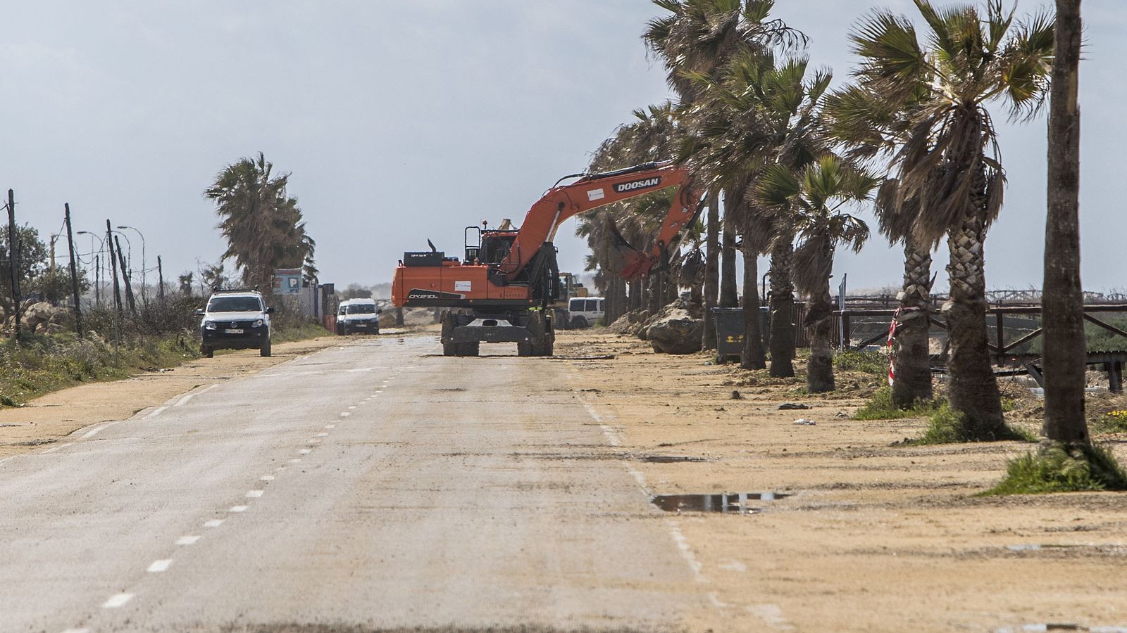 Carretera de la playa de Camposoto con las palmeras en 2018.