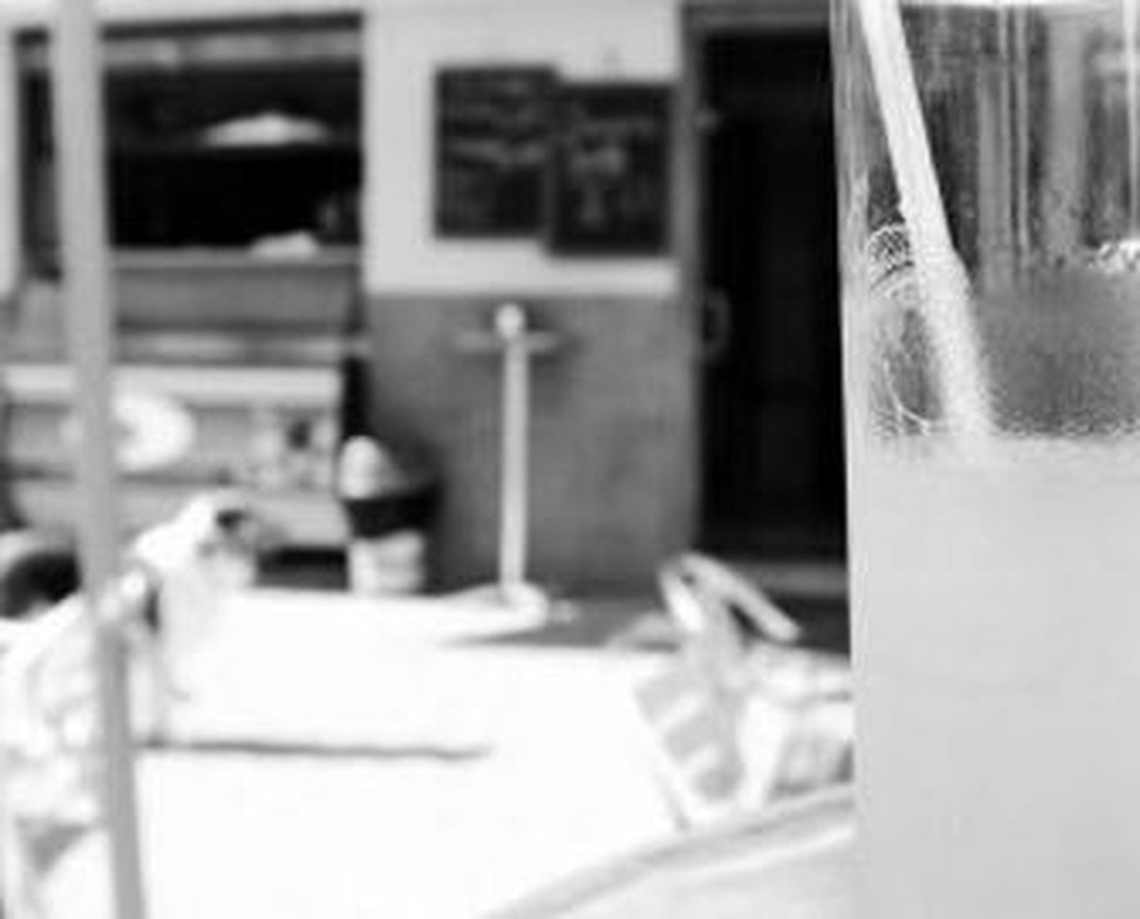 Frescos, saludables y de moda