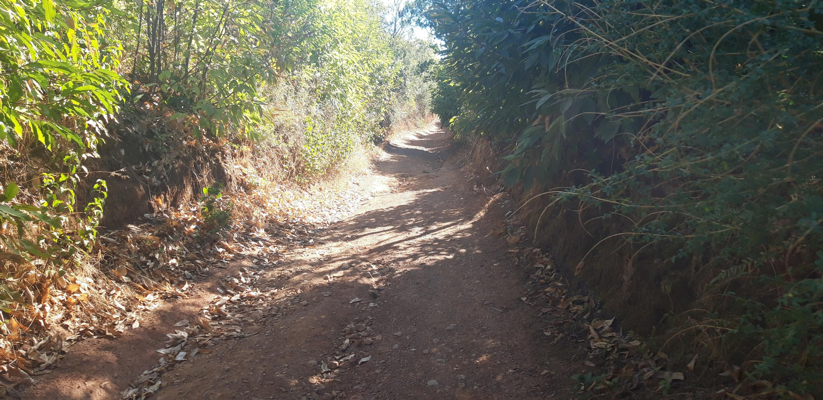 Las fotos de la Circular del Campovid