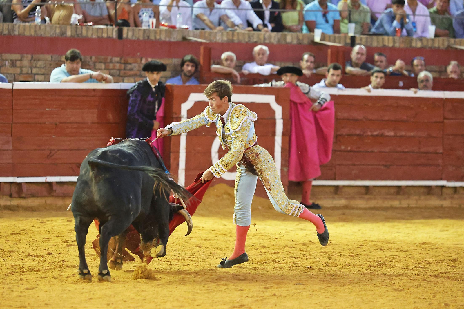 Toros La Merced 2024 Novillada con picadores(