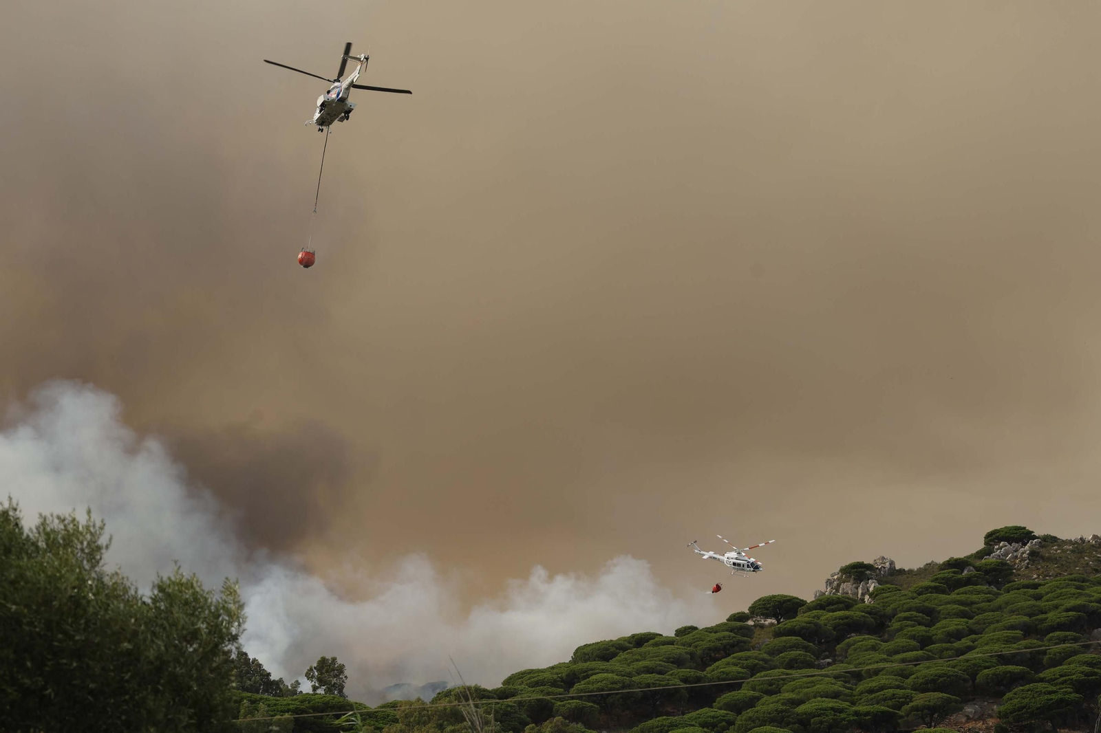 Las fotos del incendio forestal entre la Torre y Valdevaqueros en Tarifa