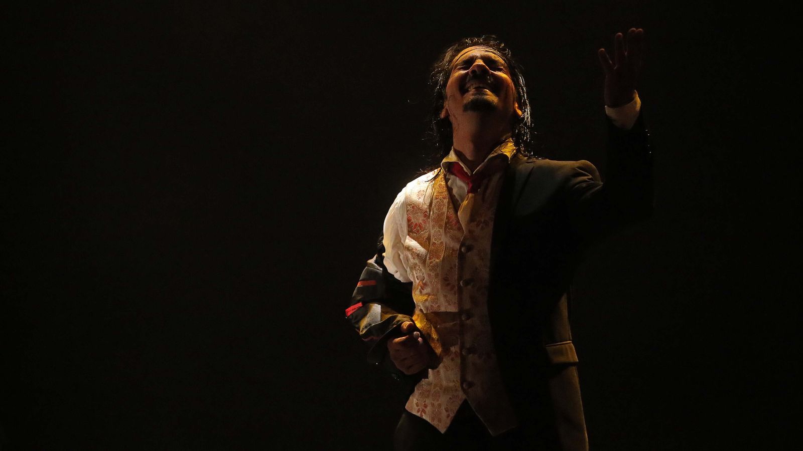 Farruquito, en una actuación reciente.