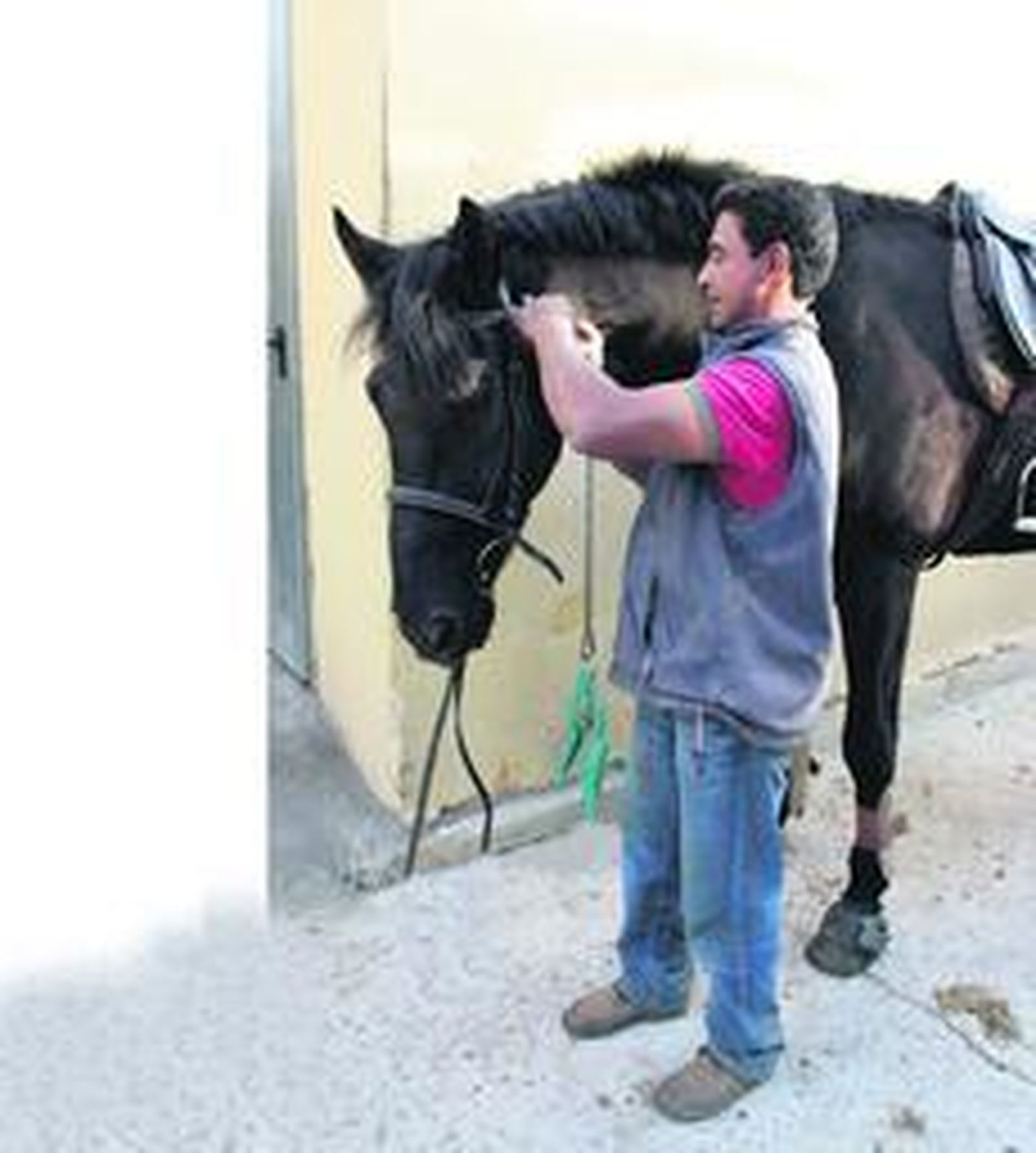 Clases de equitación para aprendices de jinete