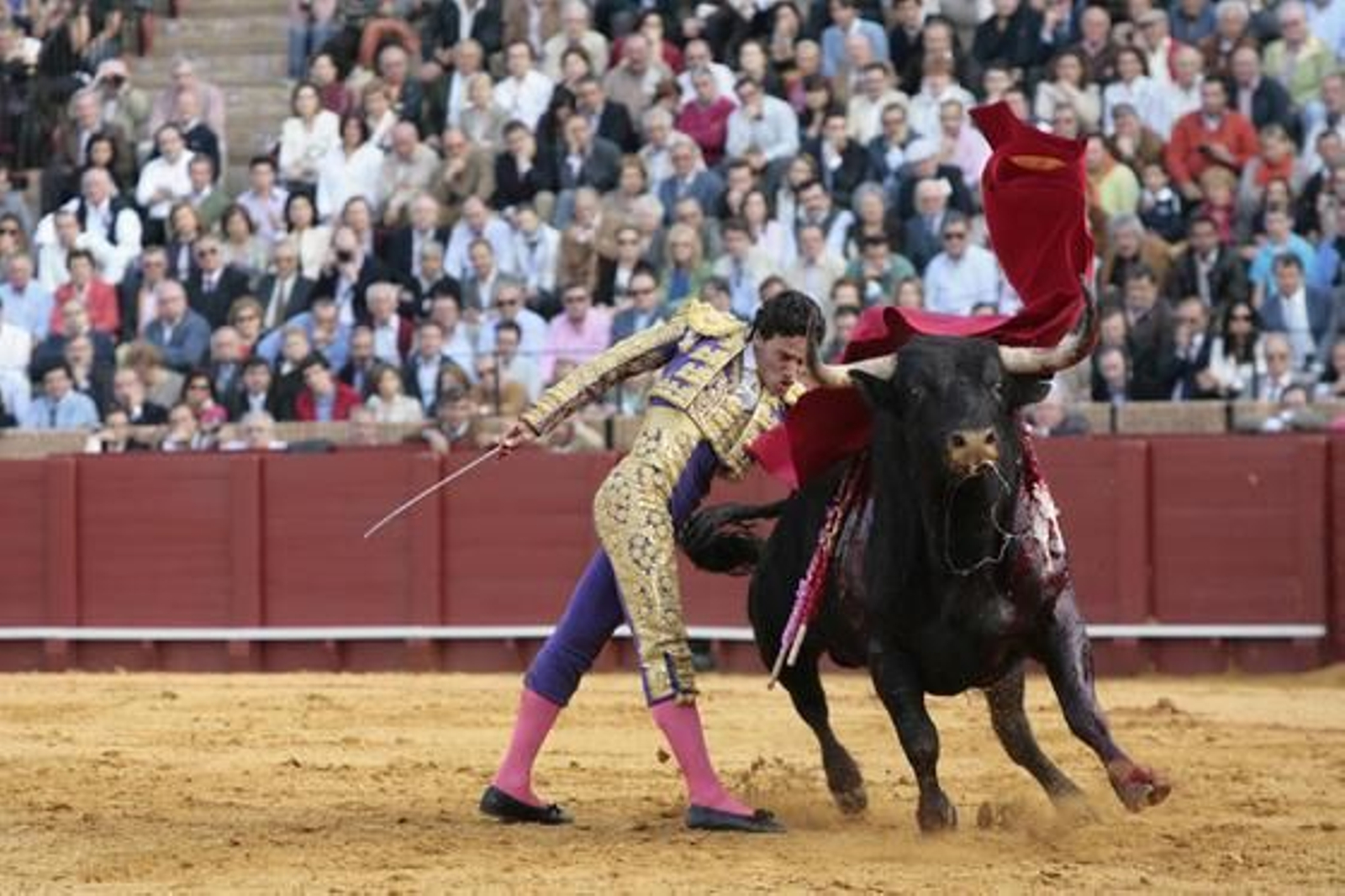 El diestro camero, tras cortar una oreja a su primer toro, roza la Puerta del Príncipe.

Foto: Juan Carlos Muñoz