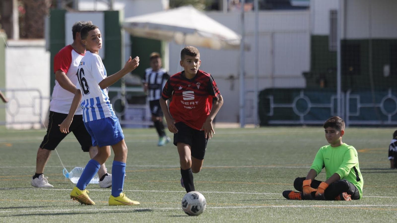 Las fotos del Torneo de alevines en el campo de Los Olivíllos en San Roque