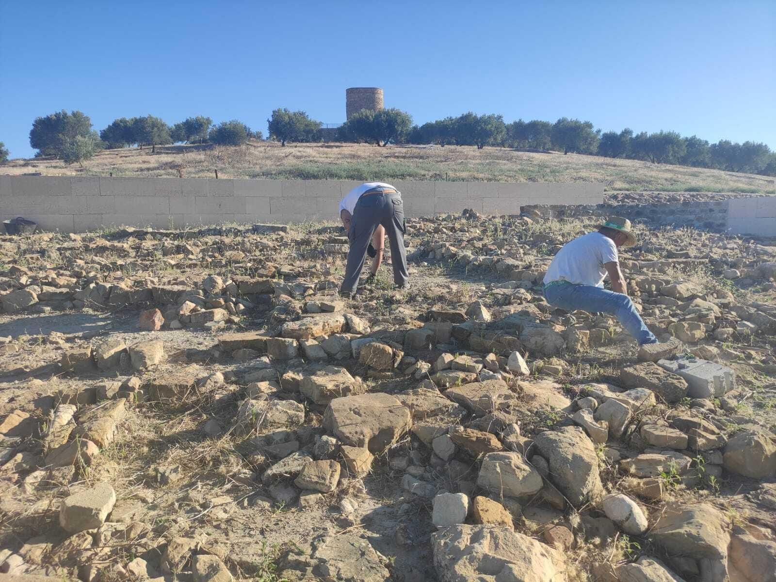 Inicio de los trabajos para recuperar el templo del yacimiento de Torreparedones, en Baena.