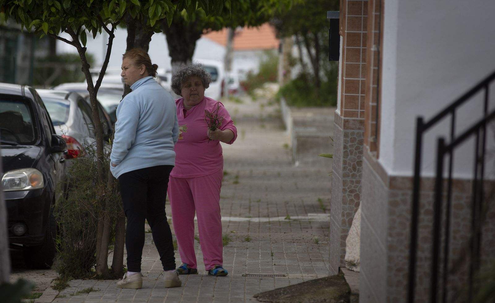 Almadén de la Plata