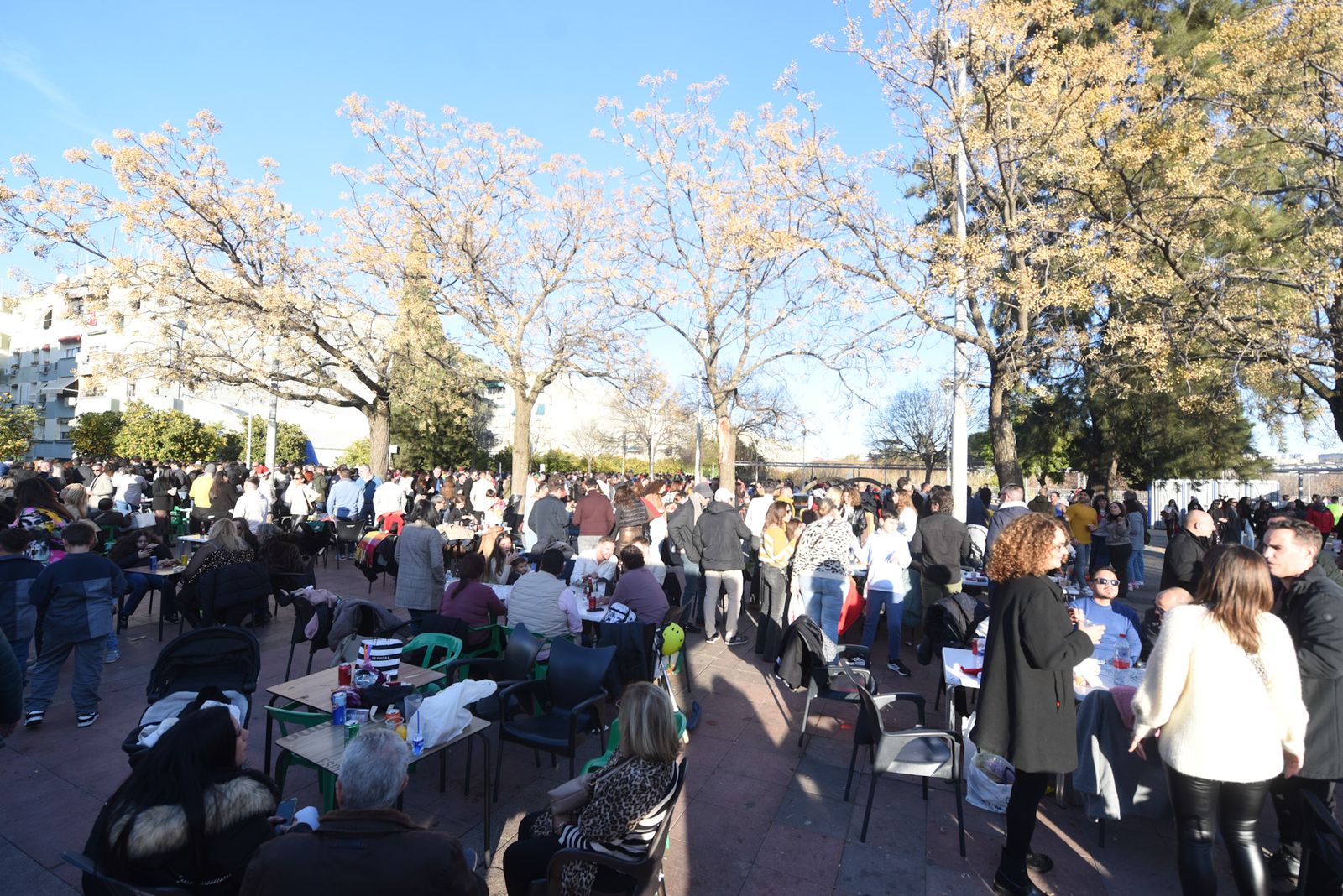 La Tardevieja en Córdoba para despedir 2025, en imágenes