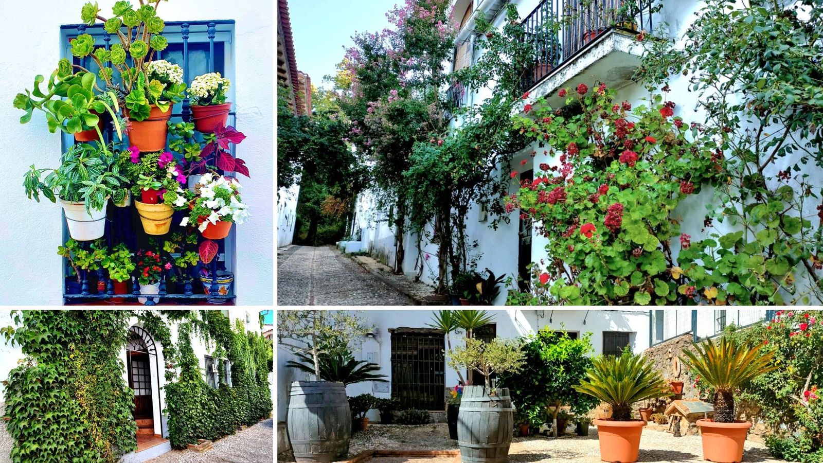 Balcones y ventanas de Fuenteheridos