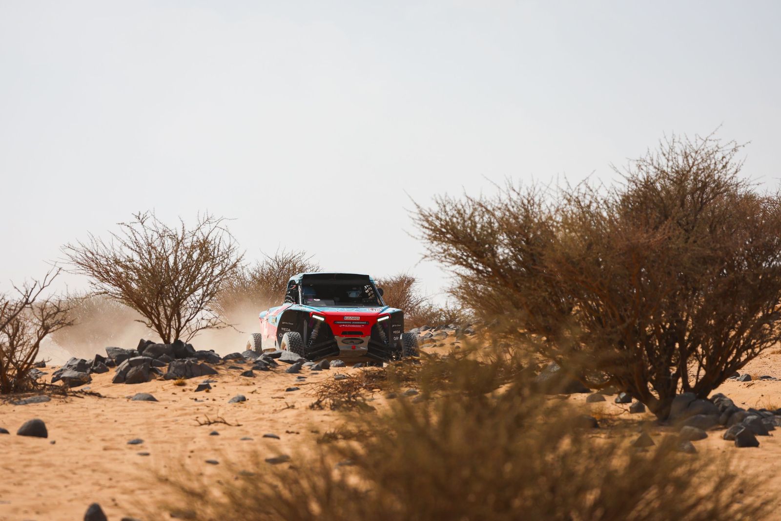 Las mejores fotos del Rally Dakar | undécima etapa