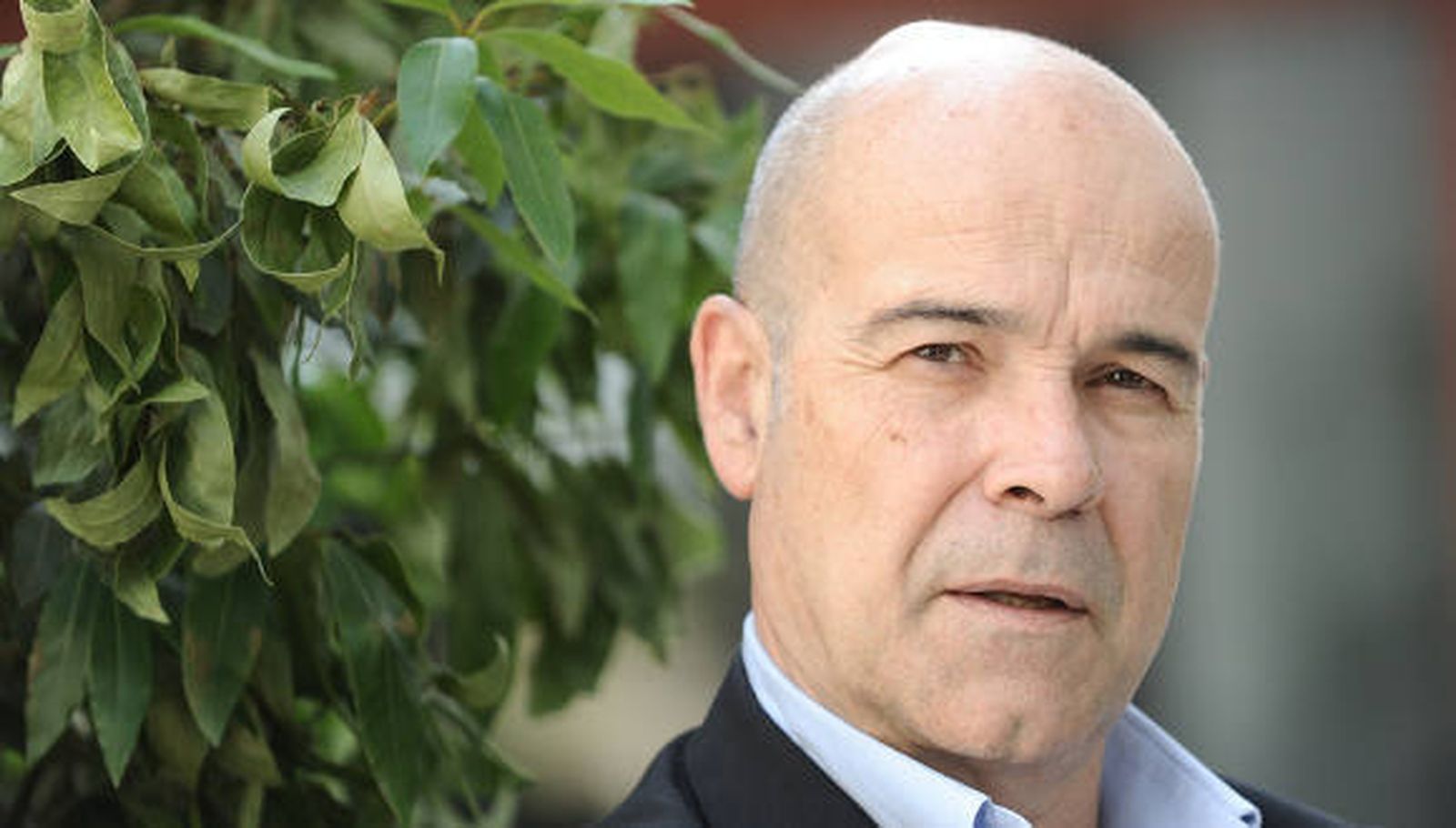 Antonio Resines dimite como presidente de la Academia de Cine