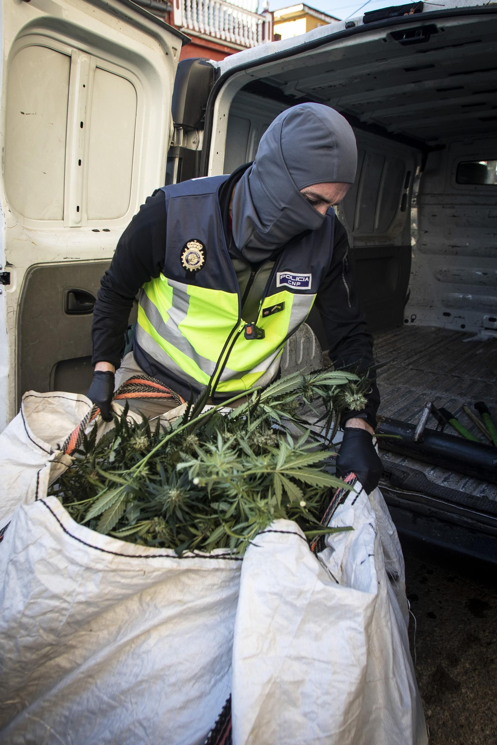 Un agente retira varios sacos con plantas de marihuana
