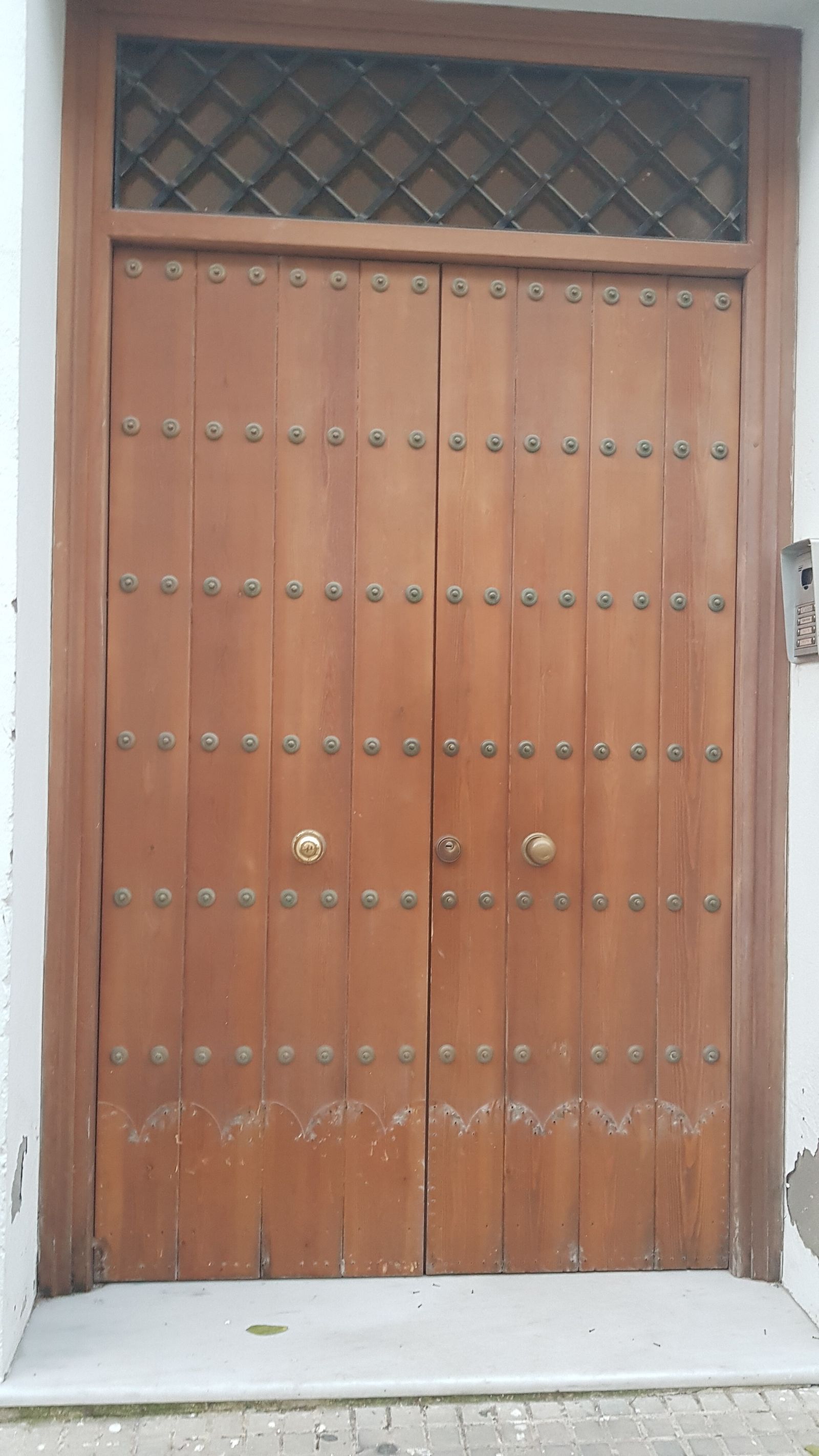Estado de la puerta tras haberla desprovisto de las placas metálicas.