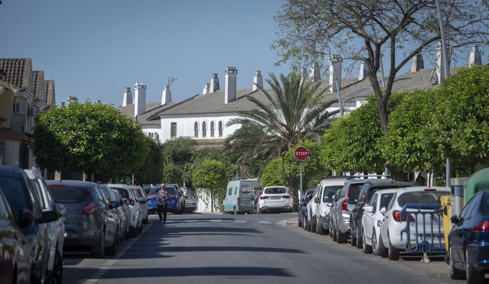 Una urbanización del Aljarafe.