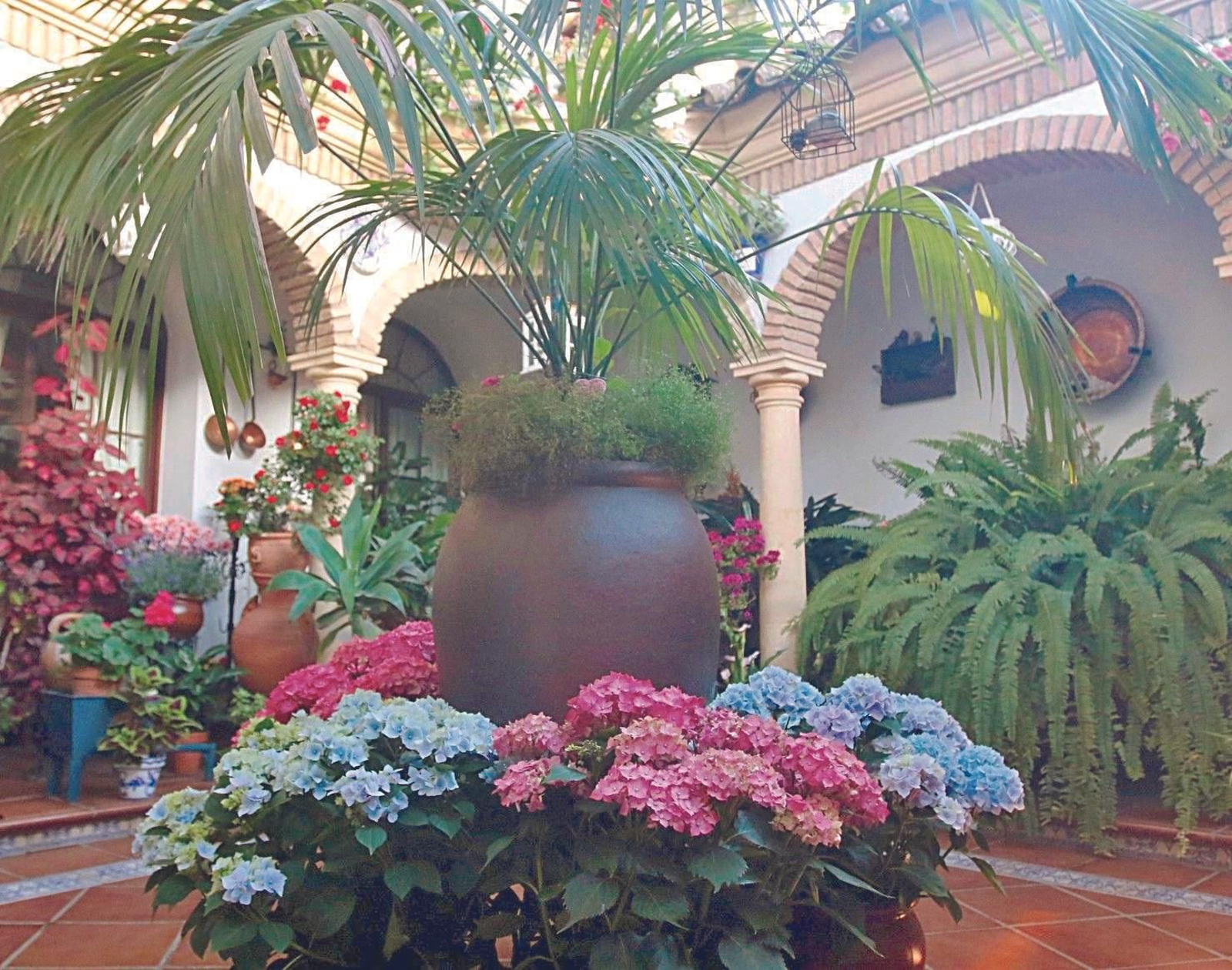 Guía de los Patios: Zarco, 15