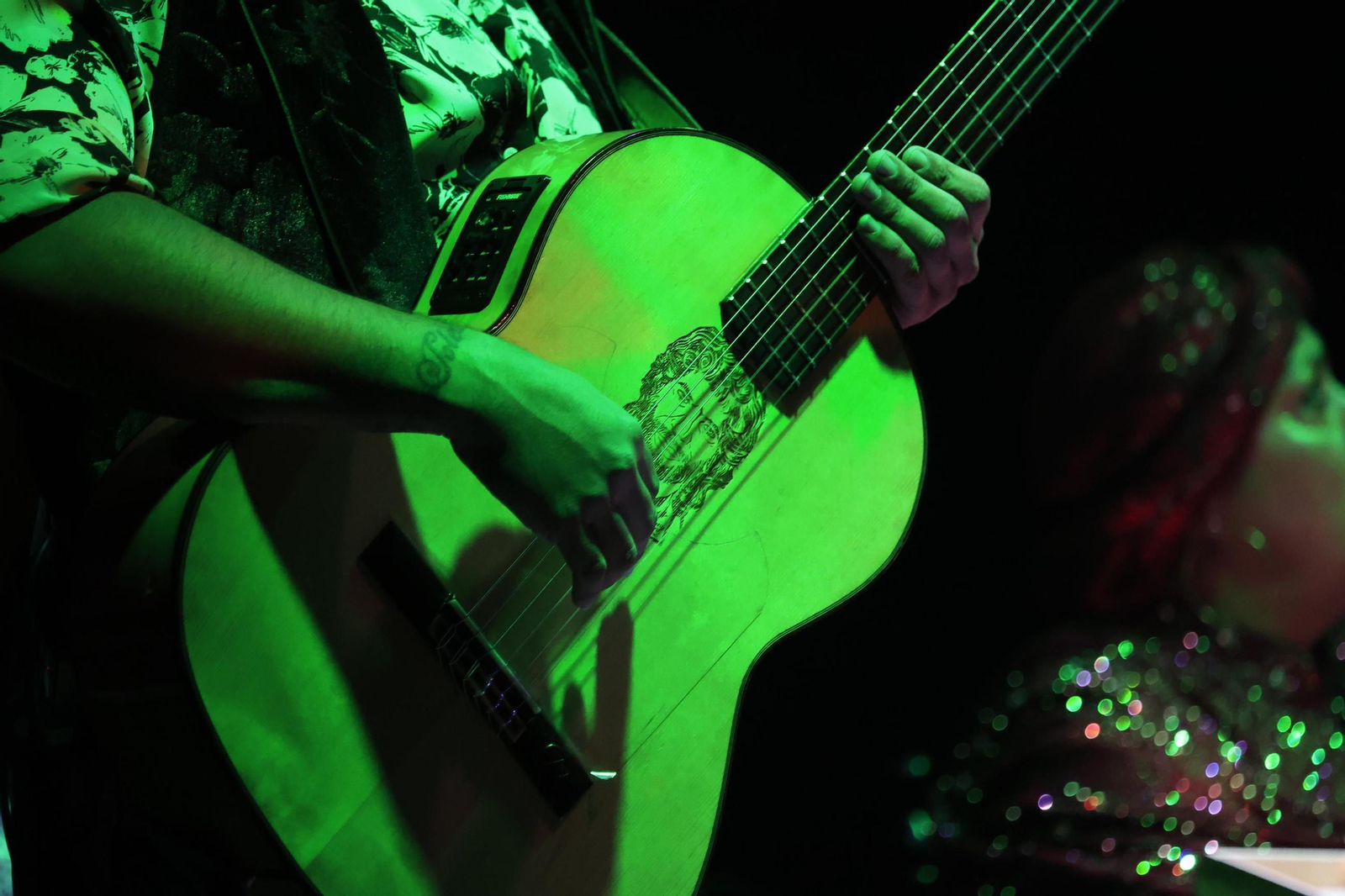 Fotos de la Navidad flamenca en San Roque con el espectáculo "Farrucos y Fernández"