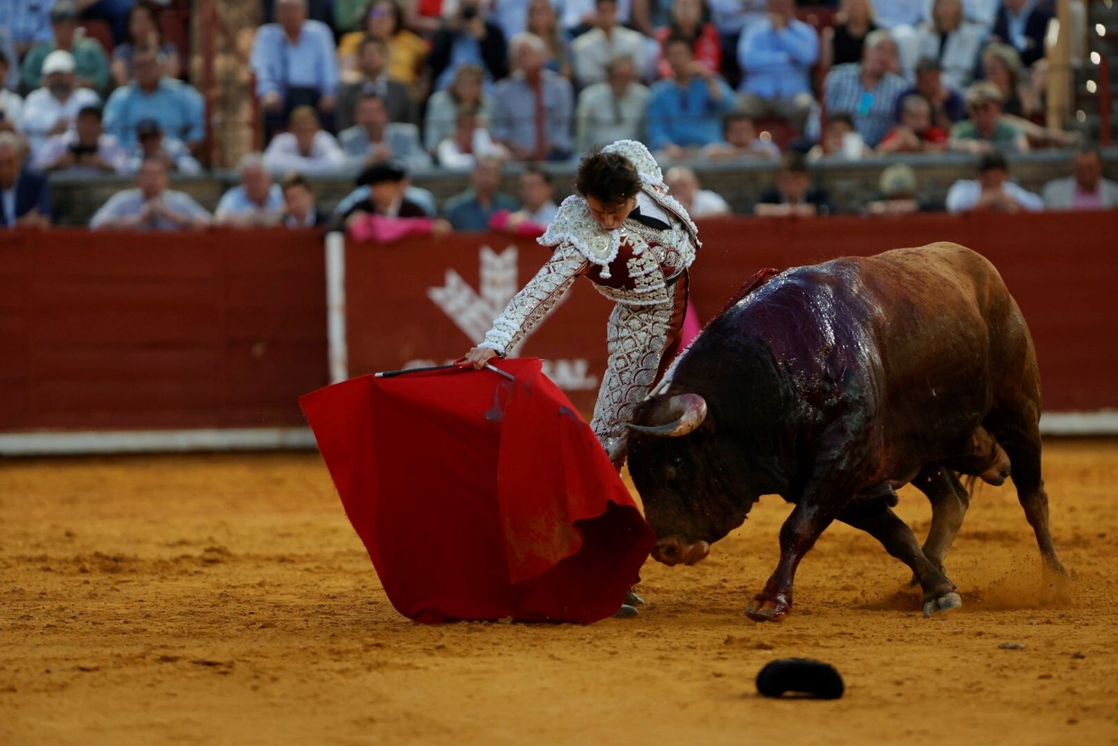 Las mejores fotos de la corrida de Morante, Ortega y Roca Rey en la Feria Taurina de Córdoba
