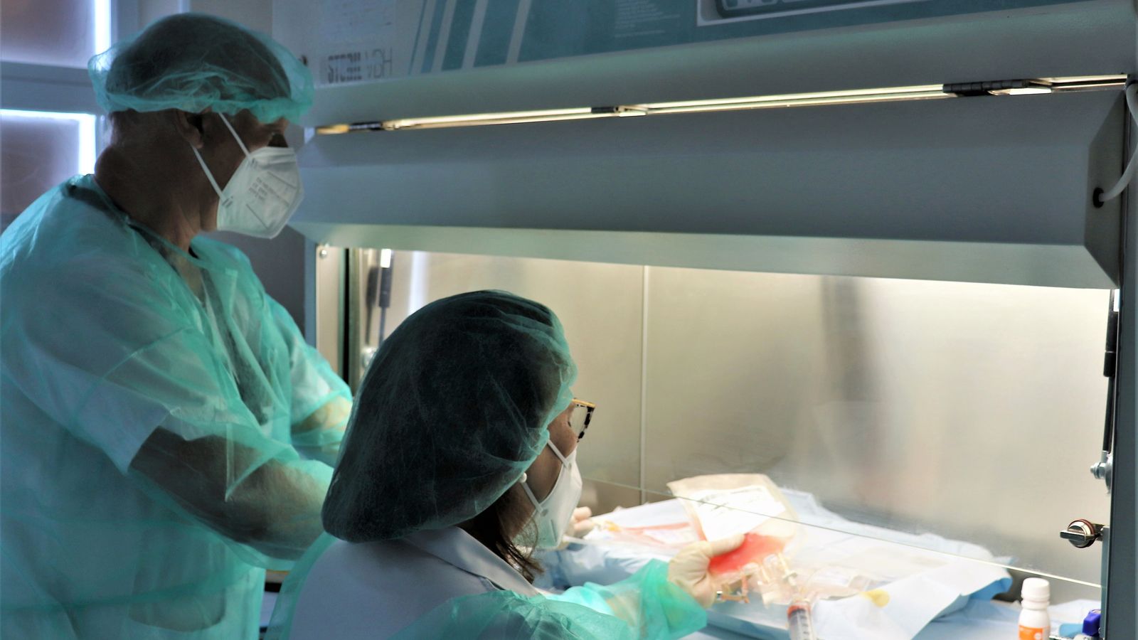 Enfermeros de Hematología procesan las células madre extraídas a un paciente.