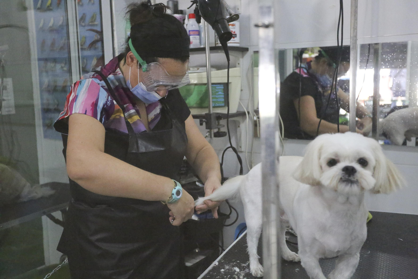 Las fotos de la primera jornada de la fase 0 de la desescalada en Málaga