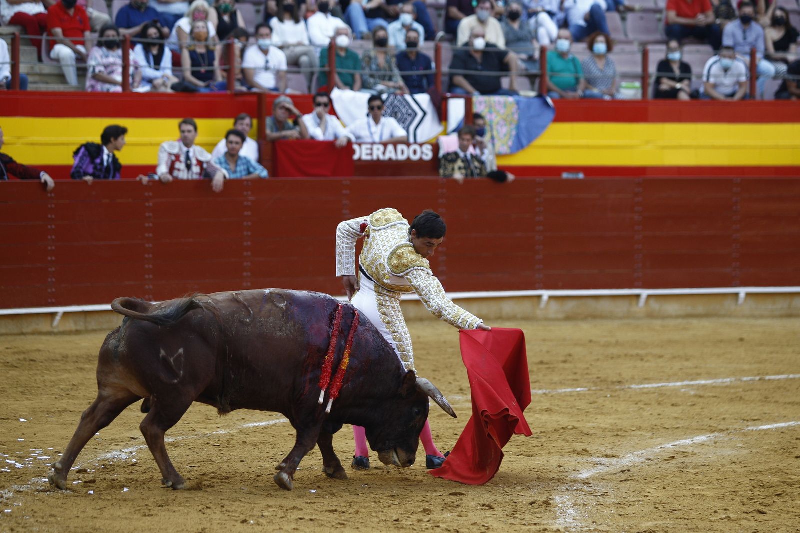 Fotogalería corrida de toros. Cayetano Rivera, Paco Ureña y Roca Rey. Roquetas de Mar.