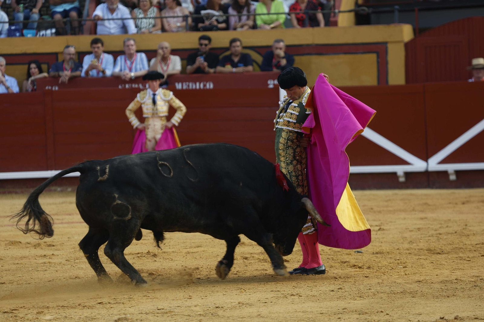 Fotos de la brava corridade La Palmosilla con Emilio de Justo, Borja Jiménez y David de Miranda