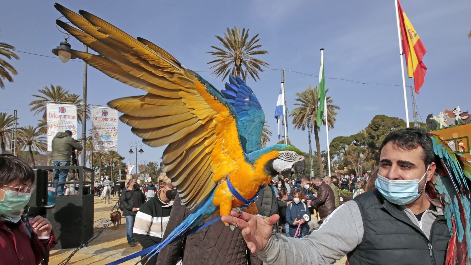 Imágenes de la 'Fiesta de San Antón 2022'