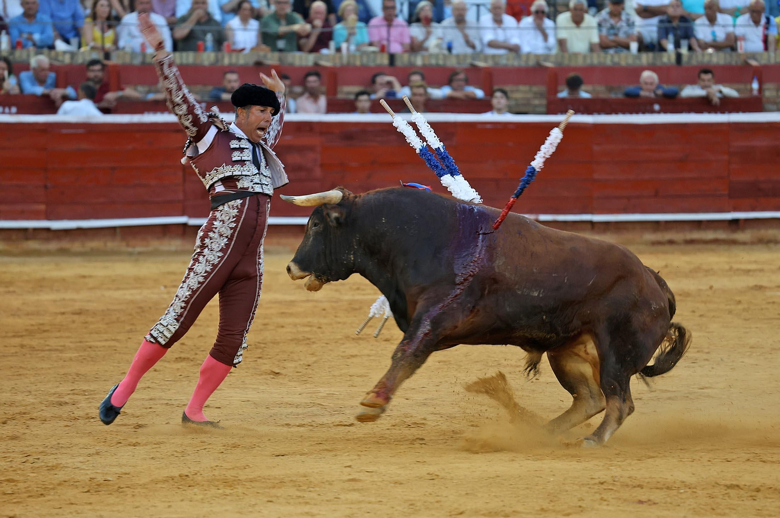 Toros La Merced 2025: Imágenes de la Novillada de Javier Zulueta, Cristian González y Carlos Tirado
