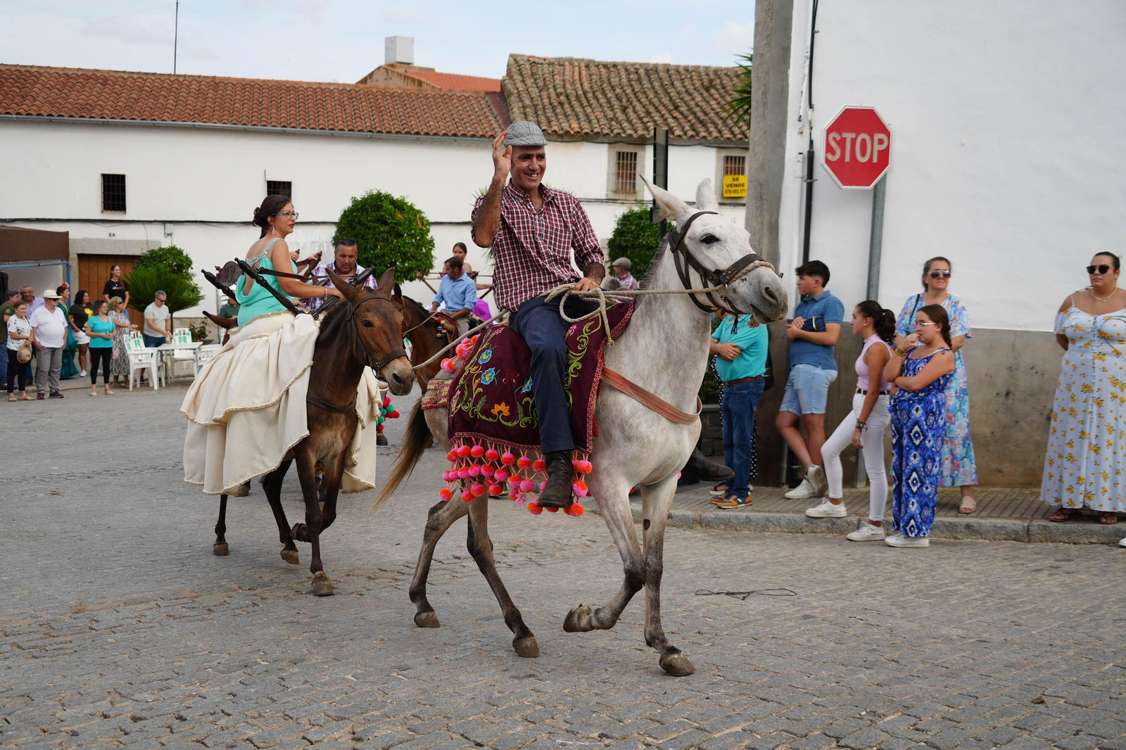 Las mejores imágenes de la Fiesta de los Piostros de Pedroche, la mayor concentración equina de Andalucía