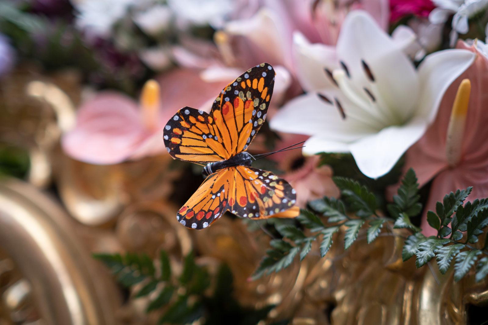 Las imágenes de la salida de la Divina Pastora de Santa Marina
