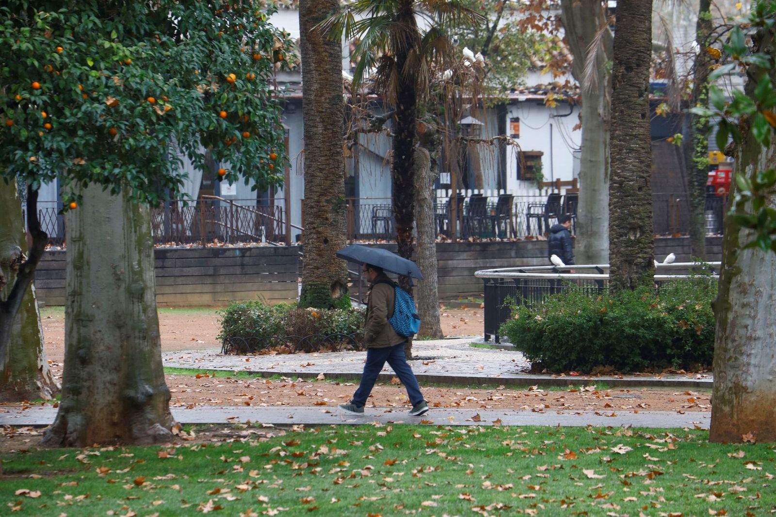 El paso de la borrasca Goretti por Córdoba