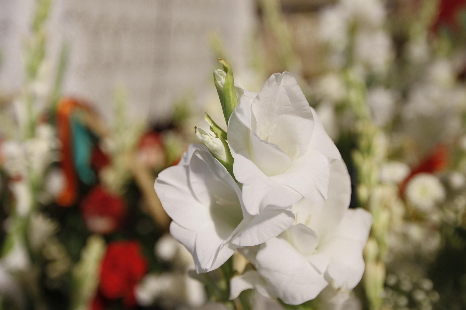 Fotogalería ofrenda floral a la Virgen del Mar. Feria de Almería 2019