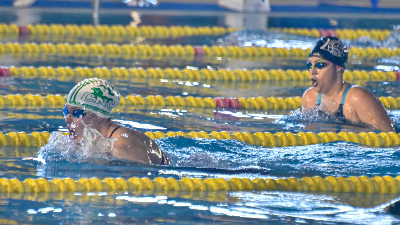 Las fotos del Campeonato de Natación Master en Los Barrios