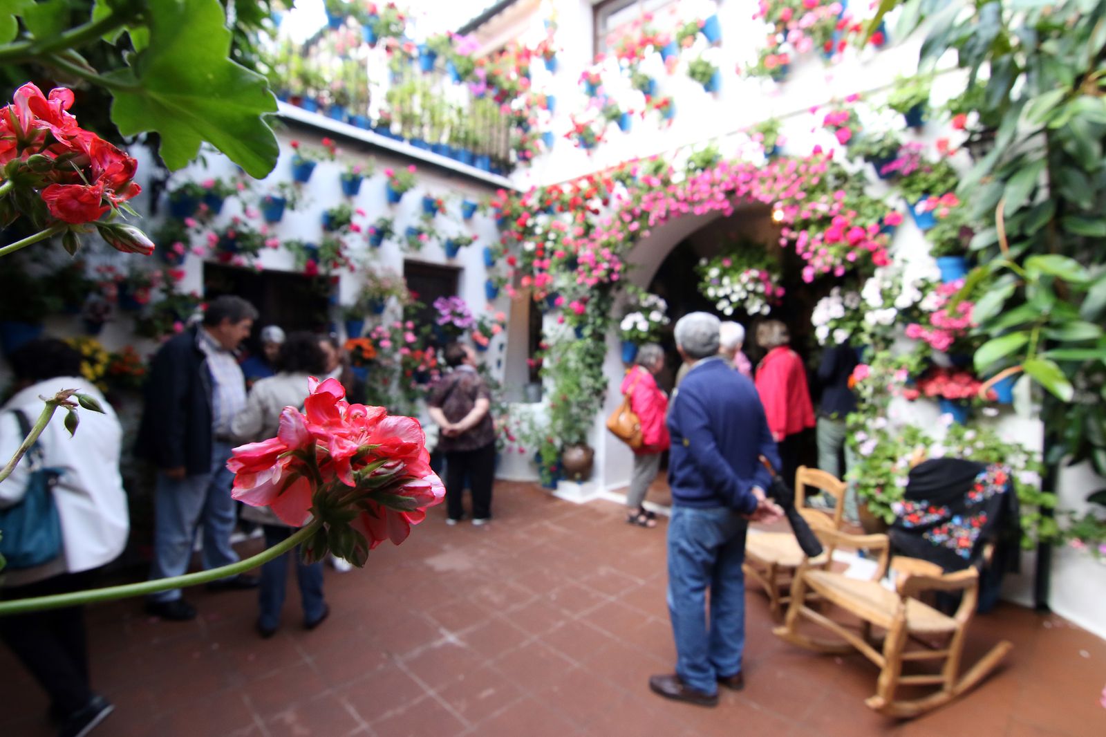 Los patios ganadores en el concurso de los Patios de Córdoba 2017