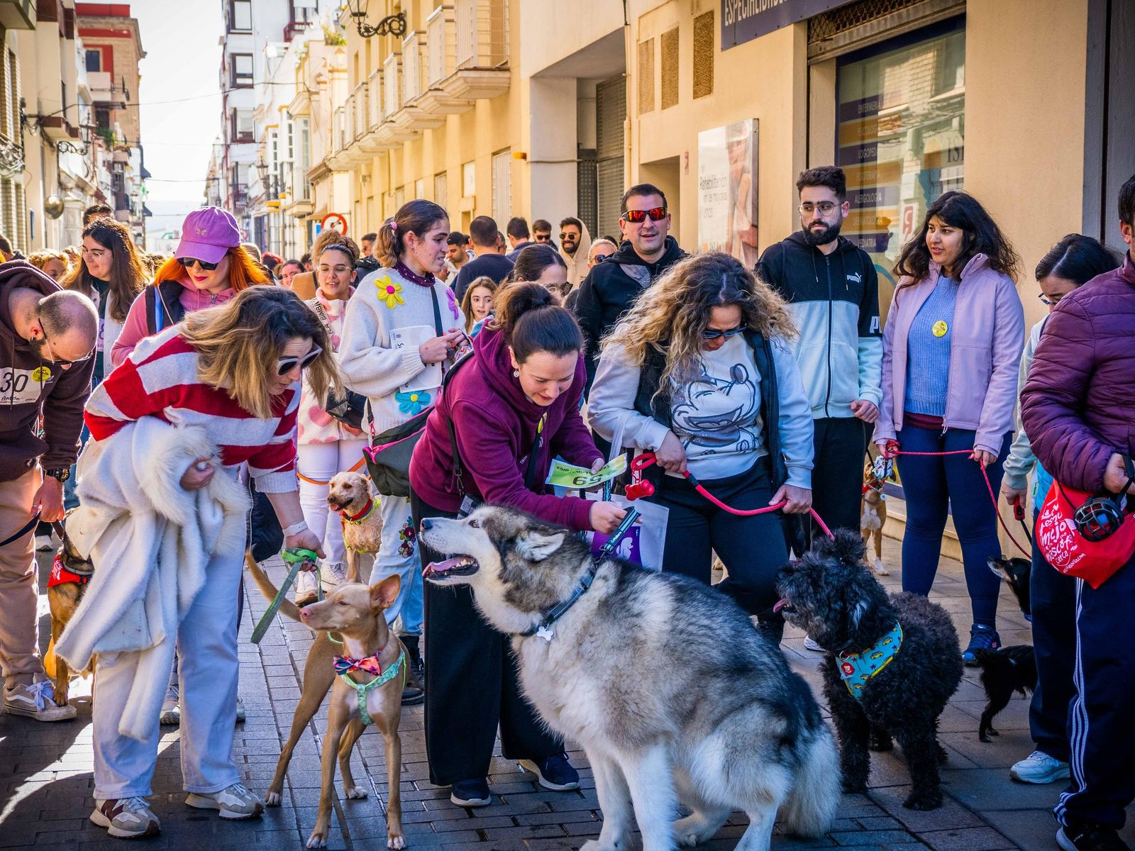 Las imágenes de San Antón 2025 en San Fernando