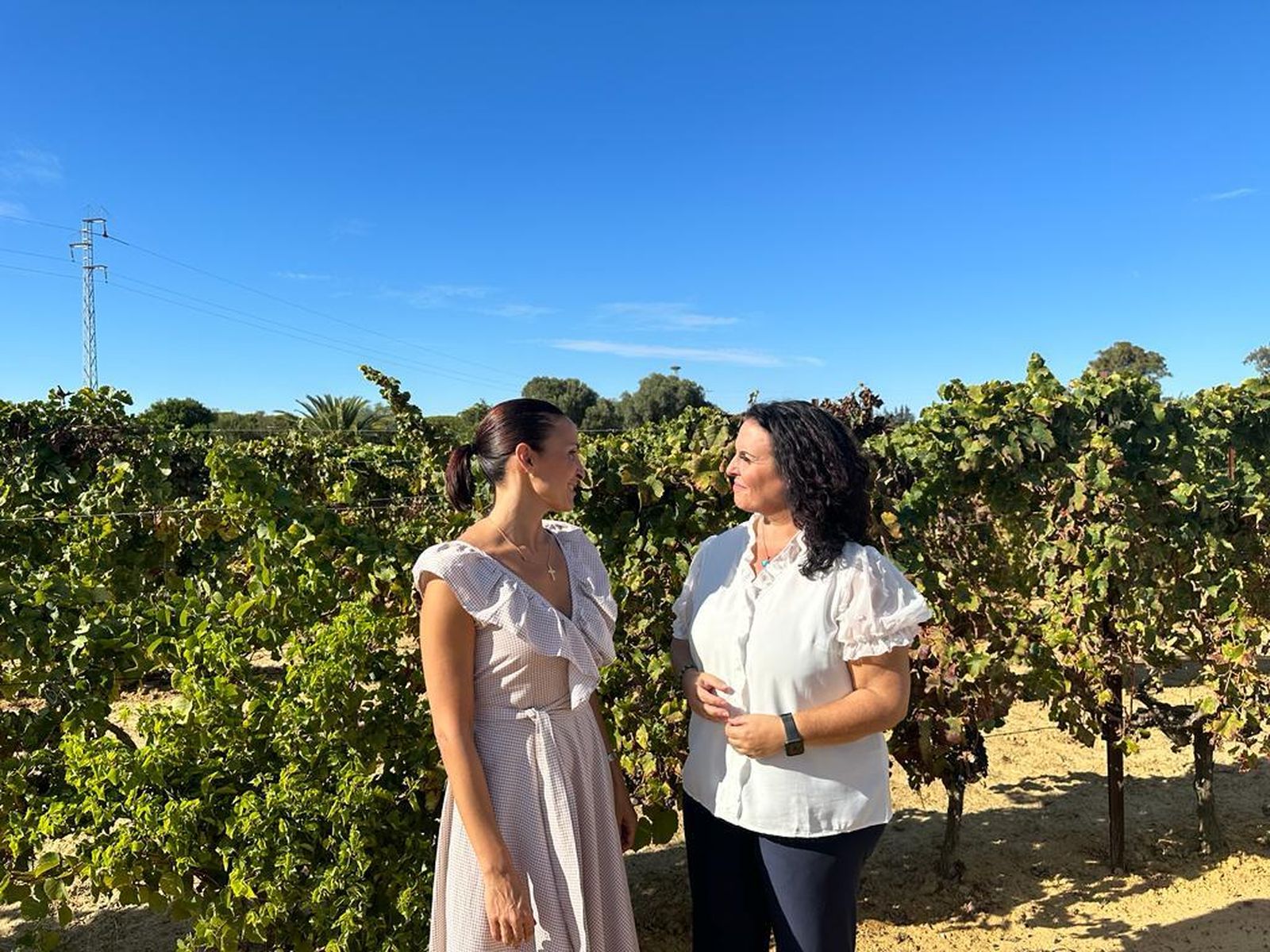 María José Campos, junto a la presidenta del PP, Ascensión Hita.