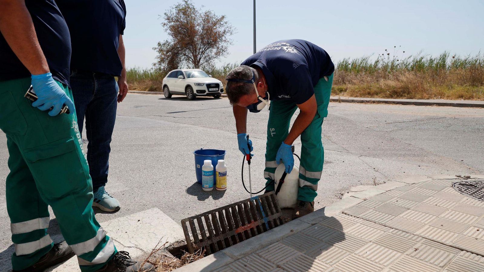 Empleados de la empresa de control de plagas durante el tratamiento de un  imbornal