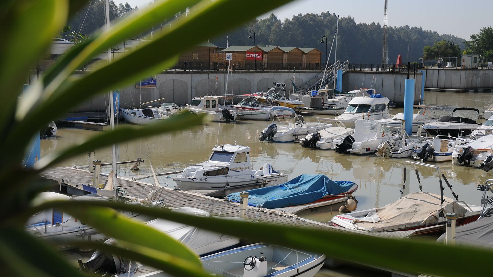 En su programación destacan el I Mercado Marinero de Artesanía ArteGelves y la Muestra de Cerveza Internacional.