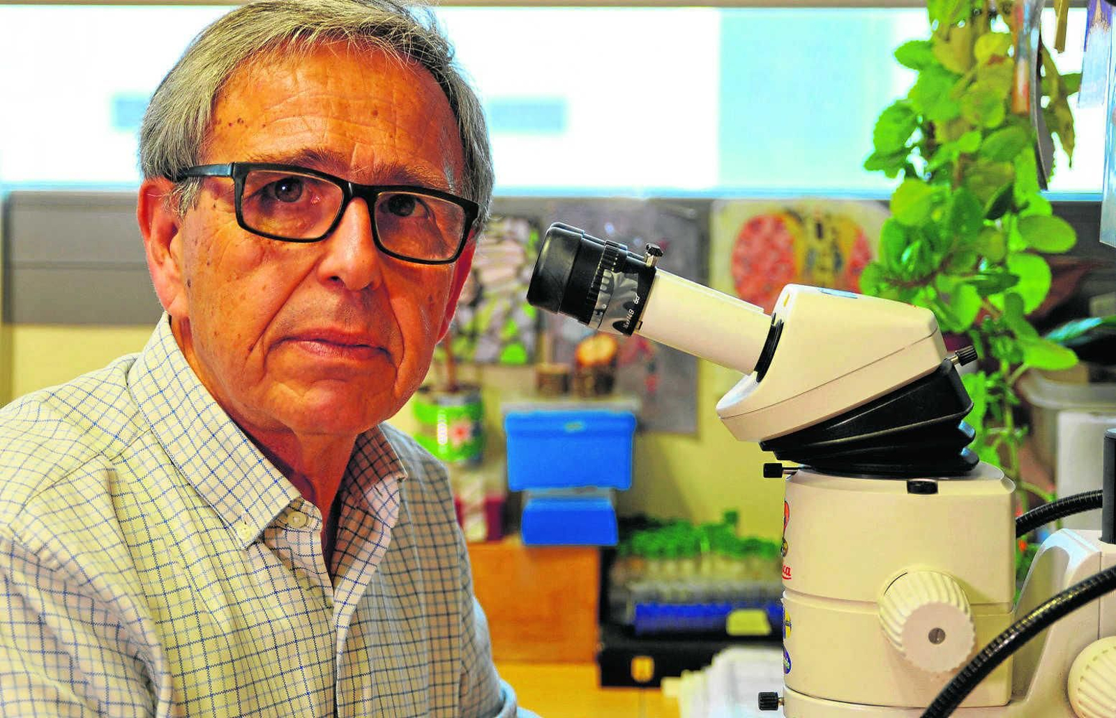 Ginés Morata trabajando en el laboratorio.