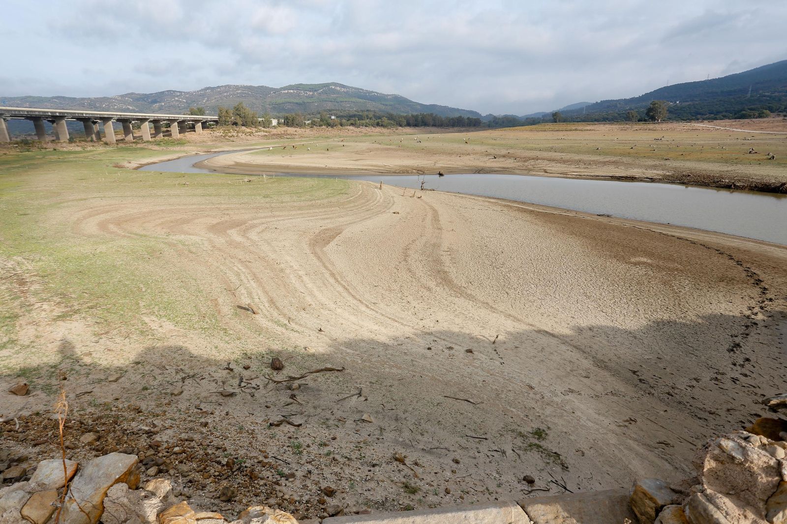 Fotos del estado del pantano de Charco Redondo en Los Barrios
