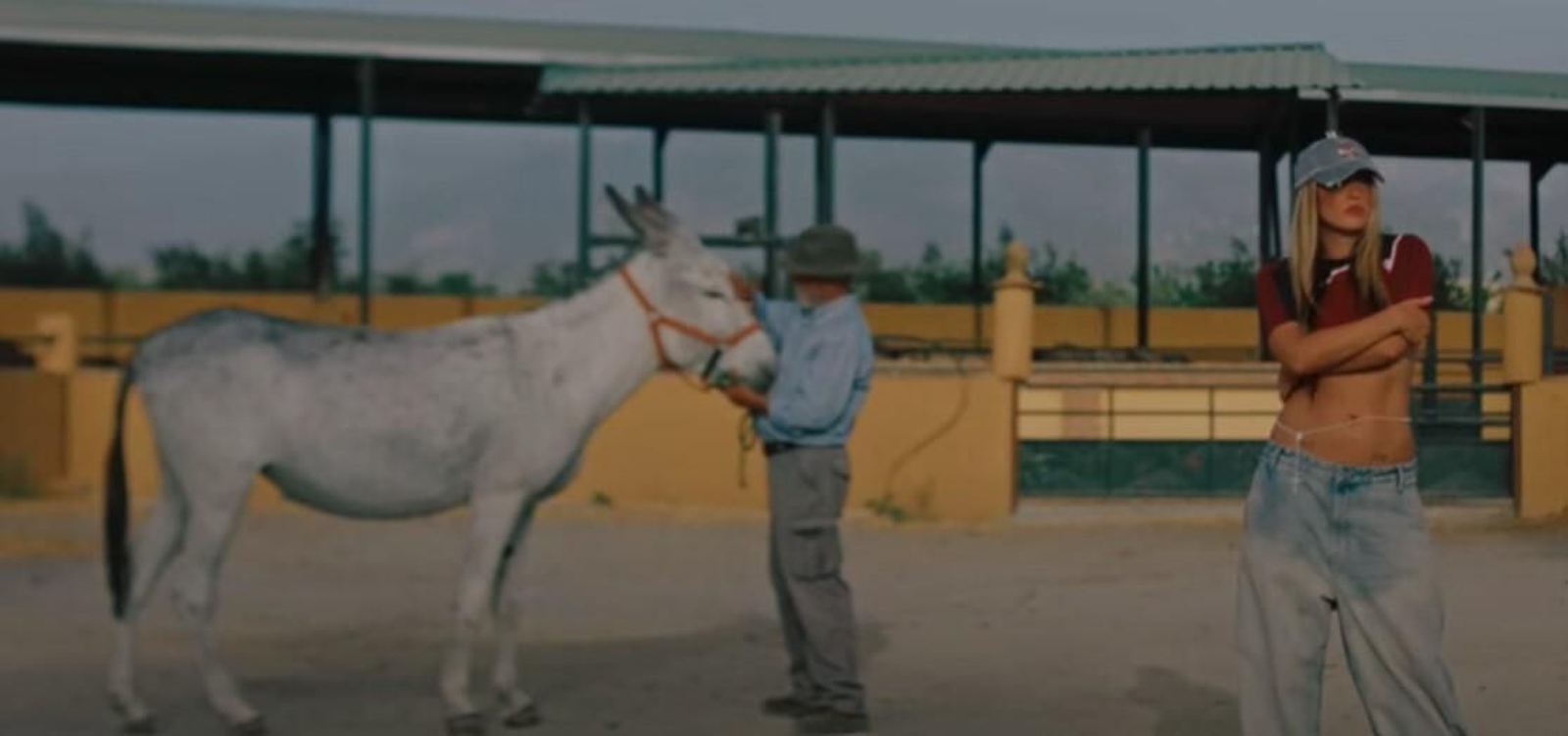 El flechazo entre Lola Índigo y la Verdolaga Bellotas, la burra granadina más famosa del mundo