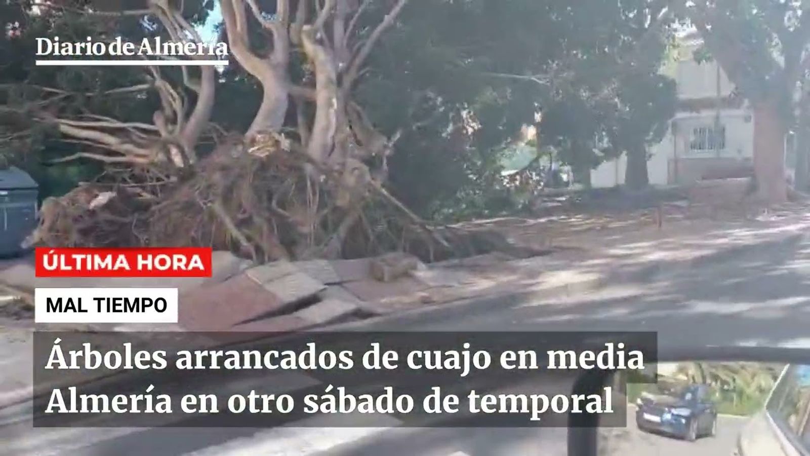 El temporal deja escenas duras en la provincia de Almería.