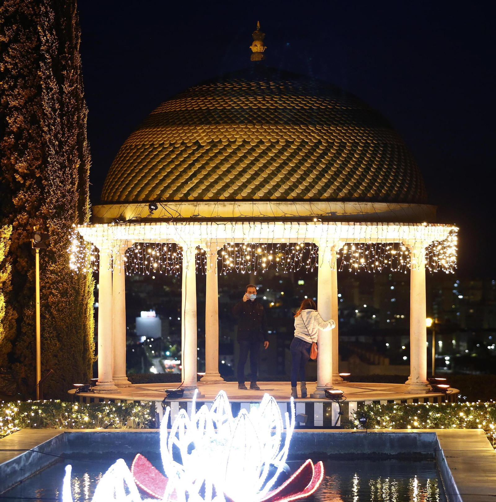Las luces del Jardín Botánico de Málaga, en fotos
